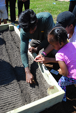 Planting seeds